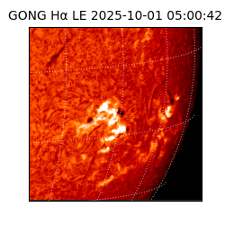 gong - 2025-10-01T05:00:42