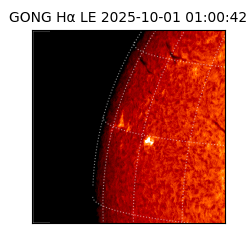 gong - 2025-10-01T01:00:42