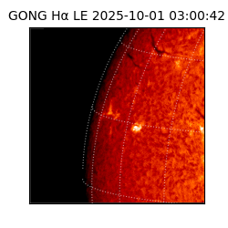 gong - 2025-10-01T03:00:42