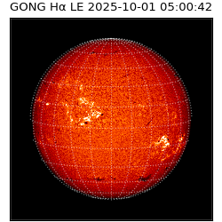 gong - 2025-10-01T05:00:42