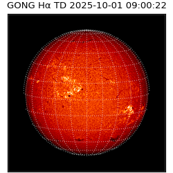 gong - 2025-10-01T09:00:22