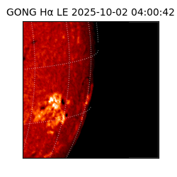 gong - 2025-10-02T04:00:42
