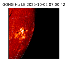 gong - 2025-10-02T07:00:42