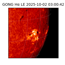 gong - 2025-10-02T03:00:42