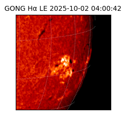 gong - 2025-10-02T04:00:42