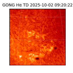 gong - 2025-10-02T09:20:22