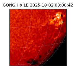 gong - 2025-10-02T03:00:42