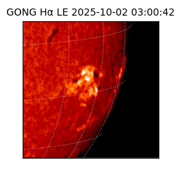 gong - 2025-10-02T03:00:42