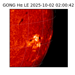 gong - 2025-10-02T02:00:42