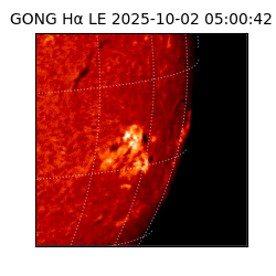 gong - 2025-10-02T05:00:42