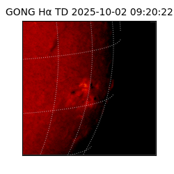 gong - 2025-10-02T09:20:22