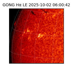 gong - 2025-10-02T06:00:42