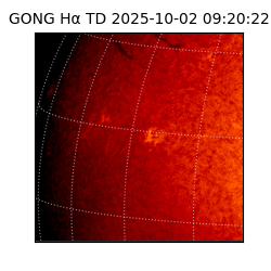 gong - 2025-10-02T09:20:22