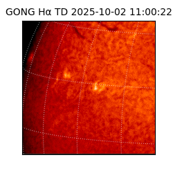 gong - 2025-10-02T11:00:22