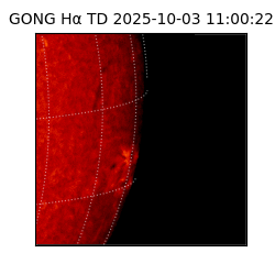 gong - 2025-10-03T11:00:22