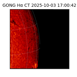 gong - 2025-10-03T17:00:42