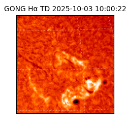 gong - 2025-10-03T10:00:22