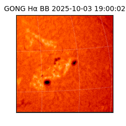 gong - 2025-10-03T19:00:02
