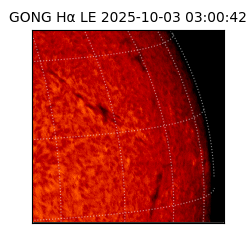 gong - 2025-10-03T03:00:42