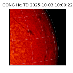 gong - 2025-10-03T10:00:22