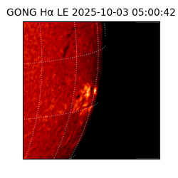 gong - 2025-10-03T05:00:42