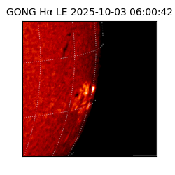 gong - 2025-10-03T06:00:42