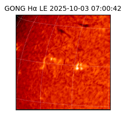 gong - 2025-10-03T07:00:42
