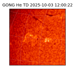 gong - 2025-10-03T12:00:22