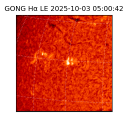 gong - 2025-10-03T05:00:42