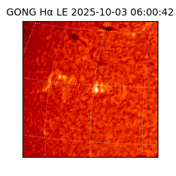 gong - 2025-10-03T06:00:42