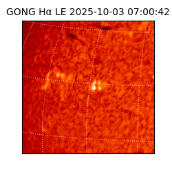 gong - 2025-10-03T07:00:42