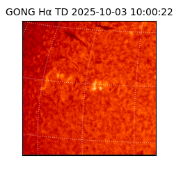 gong - 2025-10-03T10:00:22