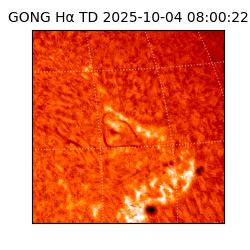 gong - 2025-10-04T08:00:22