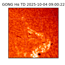 gong - 2025-10-04T09:00:22