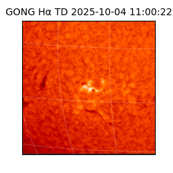 gong - 2025-10-04T11:00:22