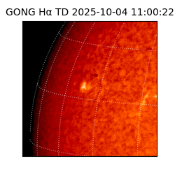 gong - 2025-10-04T11:00:22
