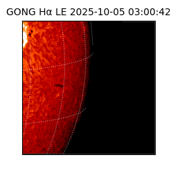 gong - 2025-10-05T03:00:42