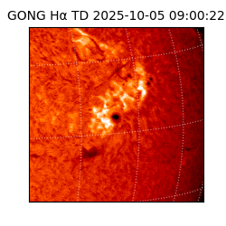 gong - 2025-10-05T09:00:22
