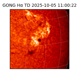 gong - 2025-10-05T11:00:22