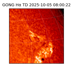 gong - 2025-10-05T08:00:22