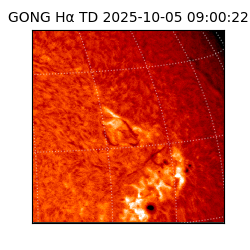 gong - 2025-10-05T09:00:22