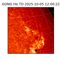 gong - 2025-10-05T12:00:22