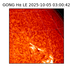 gong - 2025-10-05T03:00:42