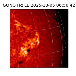 gong - 2025-10-05T06:56:42