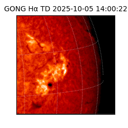 gong - 2025-10-05T14:00:22