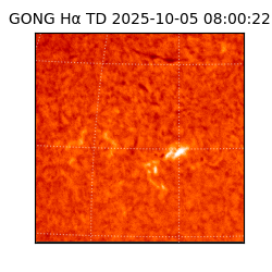 gong - 2025-10-05T08:00:22