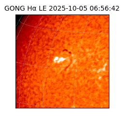 gong - 2025-10-05T06:56:42