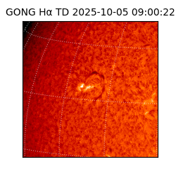 gong - 2025-10-05T09:00:22