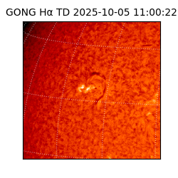 gong - 2025-10-05T11:00:22