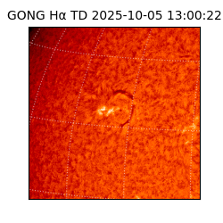 gong - 2025-10-05T13:00:22